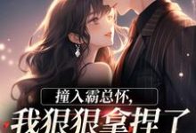 (全文)撞入霸总怀，我狠狠拿捏了他的心热门小说排行榜，撞入霸总怀，我狠狠拿捏了他的心徐漪沅贺岁聿全章小说阅读-冰糖文学