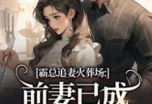 霸总追妻火葬场:前妻已成人间富贵花完整版小说霸总追妻火葬场:前妻已成人间富贵花(秦桑傅霆深)全章小说阅读-冰糖文学