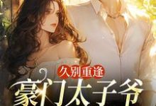 久别重逢,豪门太子爷他苦苦求宠完整版小说,久别重逢,豪门太子爷他苦苦求宠阮清月贺西楼全章小说阅读-冰糖文学