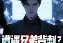 遭遇兄弟背刺？我直接去偷家（秦东骆小蝶）全本书籍阅读遭遇兄弟背刺？我直接去偷家完整版小说-冰糖文学
