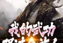 (全文)完了！我的武功强过全族人热门小说排行榜，完了！我的武功强过全族人林枫苏清雪全章小说阅读-冰糖文学