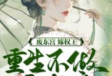 (全文)废东宫,嫁权王,重生不做乖女娘完结小说推荐商子焱苏以卿全本书籍阅读-冰糖文学