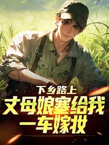 下乡路上，丈母娘塞给我一车嫁妆林辰宋雨热门小说排行榜下乡路上，丈母娘塞给我一车嫁妆免费小说