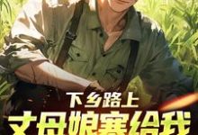 下乡路上,丈母娘塞给我一车嫁妆推荐完结小说下乡路上,丈母娘塞给我一车嫁妆(林辰宋雨)免费小说全本-冰糖文学