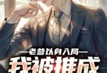 曹诚老爹以身入局,我被推成大富豪全本免费在线阅读-冰糖文学