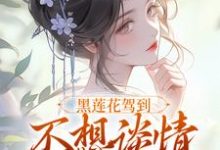 (全文)黑莲花驾到宁司寒林妩小说(宁司寒林妩)免费小说黑莲花驾到宁司寒林妩小说试读更新章节-冰糖文学