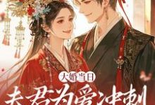 (全文)大婚当日，夫君为爱冲刺救白月光(林菀堂萧睿川)全本免费在线阅读-冰糖文学