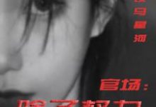 (全文)官场：除了权力还有啥热门小说排行榜，官场：除了权力还有啥丁俊丰贺征全章小说阅读-冰糖文学