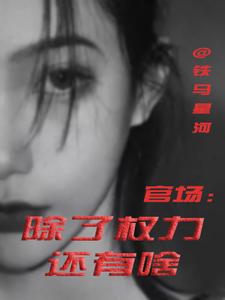 丁俊丰贺征官场：除了权力还有啥全本免费在线阅读