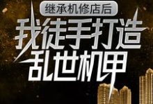 (全文)继承机修店后，我徒手打造乱世机甲免费小说全本，苏白苏南天试读更新章节-冰糖文学