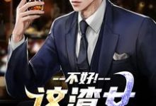 (全文)这渣女要虐死了(顾迟云云晚晚)试读更新章节这渣女要虐死了免费小说-冰糖文学
