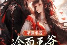 卑微求爱：冷面王爷只为她轻哄（苏如卿赫连渊）小说推荐卑微求爱：冷面王爷只为她轻哄全章小说阅读-冰糖文学