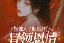 (全文)嫁他人?断喜秤!冒牌恩情榻上偿温兮兮陆玄弋全本免费在线阅读-冰糖文学