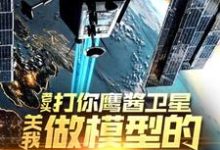 老头打你鹰酱卫星,关我做模型的什么事完整版小说,老头打你鹰酱卫星,关我做模型的什么事秦阳试读更新章节-冰糖文学