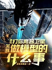 老头打你鹰酱卫星，关我做模型的什么事完整版小说，老头打你鹰酱卫星，关我做模型的什么事秦阳试读更新章节