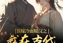 (全文)误嫁冷面糙汉之我在古代当小媳妇（苏琴岑殷闵）全本书籍阅读误嫁冷面糙汉之我在古代当小媳妇免费小说全本-冰糖文学
