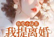 你爱小绿茶，我提离婚你急什么最新完结小说你爱小绿茶，我提离婚你急什么陆应淮苏晴好免费小说-冰糖文学