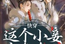 快穿：这个小妾有点东西，但是不多（阮娇玉江凌川）全本书籍阅读快穿：这个小妾有点东西，但是不多完整版小说-冰糖文学