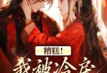 (全文)糟糕！我被冷戾帝王缠上了（越婈君宸州）全本书籍阅读糟糕！我被冷戾帝王缠上了免费小说全本-冰糖文学