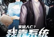 家破人亡？我靠系统儿孙满堂完整版小说，家破人亡？我靠系统儿孙满堂柳若澜许良全章小说阅读-冰糖文学