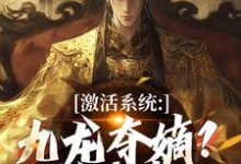激活系统:九龙夺嫡?都给我靠边(衡顺李景源)全章小说阅读-冰糖文学