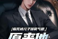 临死被儿子拔氧气管,原来他非亲生(林子阳)全章小说阅读-冰糖文学