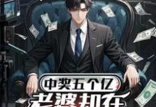 中奖五个亿，老婆却在领奖前提离婚陈志完结小说推荐中奖五个亿，老婆却在领奖前提离婚全本书籍阅读-冰糖文学