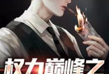 权力巅峰之红色仕途（张文定）全本书籍阅读权力巅峰之红色仕途完整版小说-冰糖文学