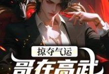 (全文)掠夺气运,哥在高武世界赢麻了沈无萧全本免费在线阅读-冰糖文学