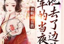 被赐婚常胜将军的当夜,他去了边关青妩燕昭试读更新章节被赐婚常胜将军的当夜,他去了边关青妩燕昭免费小说-冰糖文学
