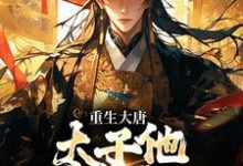 重生大唐：太子他强势夺权（李承乾李世民）全本书籍阅读重生大唐：太子他强势夺权完整版小说-冰糖文学