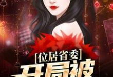 位居省委,开局被妻子举报推荐完结小说,位居省委,开局被妻子举报苏玉黎锦免费小说全本-冰糖文学
