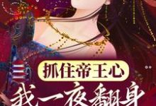 (全文)抓住帝王心，我一夜翻身成宠妃完结小说推荐萧煜沈芙全本书籍阅读-冰糖文学
