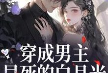 穿成男主早死的白月光?我不干了完整版小说穿成男主早死的白月光?我不干了(谢观砚林茉)全章小说阅读-冰糖文学