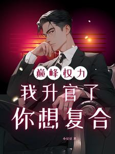 巅峰权力：我升官了你想复合林磊完结小说推荐，巅峰权力：我升官了你想复合全章小说阅读