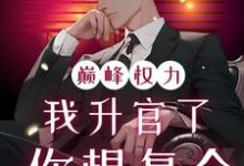 (全文)巅峰权力:我升官了你想复合林磊最新完结小说巅峰权力:我升官了你想复合免费小说全本-冰糖文学