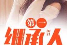 (全文)第一继承人(徐飞)全本书籍阅读第一继承人免费小说全本-冰糖文学
