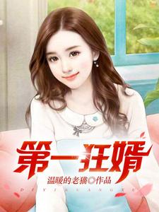 第一狂婿推荐完结小说，第一狂婿林枫免费小说全本