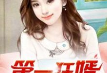 第一狂婿完整版小说第一狂婿(林枫)全章小说阅读-冰糖文学