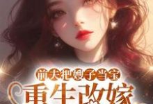 (全文)前夫把嫂子当宝，重生改嫁不原谅（夏晚晴）试读更新章节前夫把嫂子当宝，重生改嫁不原谅免费小说-冰糖文学