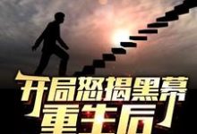 (全文)开局怒揭黑幕,重生后整顿官场免费小说全本,陈知行试读更新章节-冰糖文学