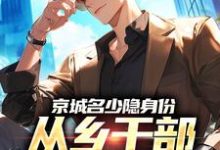 (全文)京城名少隐身份，从乡干部开始逆袭谢斌裴靖泽最新完结小说京城名少隐身份，从乡干部开始逆袭免费小说全本-冰糖文学