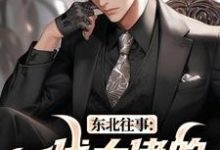 东北往事:一代大佬的成功之路(王晨马三)全本书籍阅读东北往事:一代大佬的成功之路完整版小说-冰糖文学