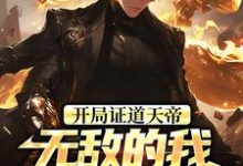 开局证道天帝，无敌的我在地球乱杀推荐完结小说，开局证道天帝，无敌的我在地球乱杀叶凌天叶小雨免费小说全本-冰糖文学