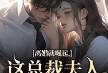 (全文)离婚就崛起,这总裁夫人她不做了(苏心瑶南羽陌)免费小说离婚就崛起,这总裁夫人她不做了试读更新章节-冰糖文学