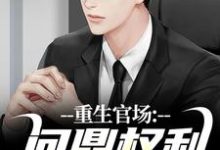 (全文)重生官场：问鼎权利之巅林峰刘艳茹全本免费在线阅读-冰糖文学