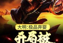 (全文)大明：极品弃婴，开局被老朱捡回家朱炫最新完结小说大明：极品弃婴，开局被老朱捡回家免费阅读-冰糖文学