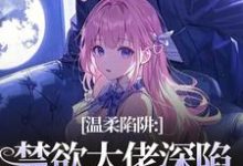 温荣仓央嘉措温柔陷阱全本免费在线阅读-冰糖文学