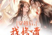 穿越后,我惨遭主角团抛弃推荐完结小说穿越后,我惨遭主角团抛弃(穆长安宋律)免费小说全本-冰糖文学