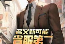 名义新可能:省服第二能否逆转大局推荐完结小说,名义新可能:省服第二能否逆转大局萧承李妙灵免费小说全本-冰糖文学